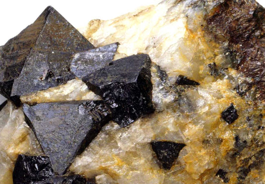 BLACK SPINEL