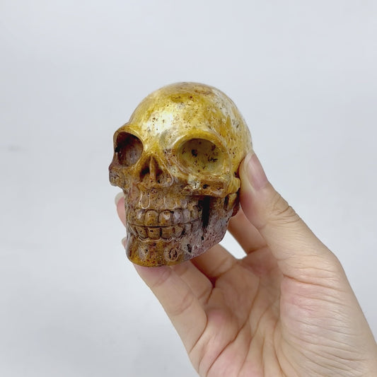 3" Crazy Lace Agate Skull wholesale